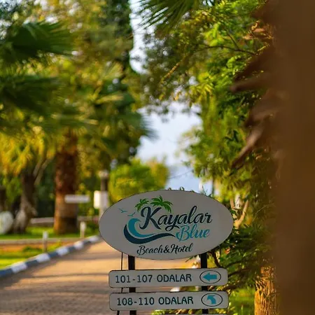 Kayalar Blue Sazlı