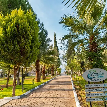 Kayalar Blue 4* Sazlı