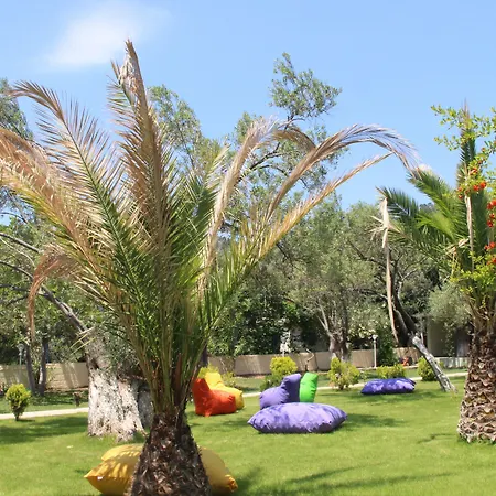 Kayalar Blue Sazlı