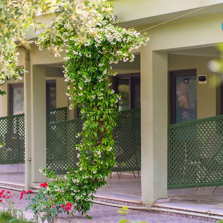 Hotel Kayalar Blue 4*