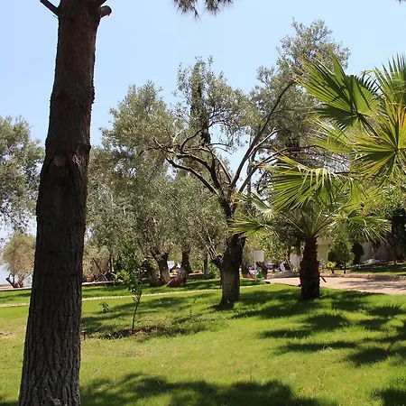 Kayalar Blue