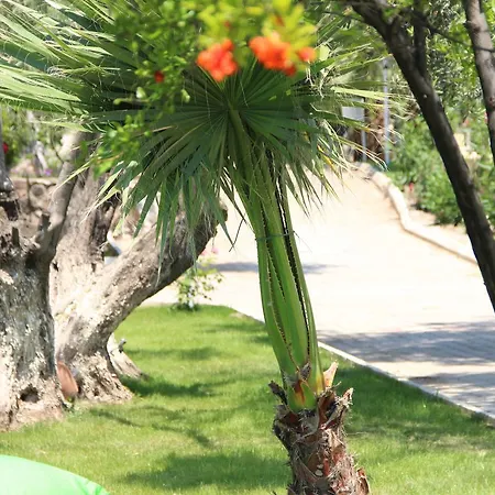 Kayalar Blue Hotel 4*