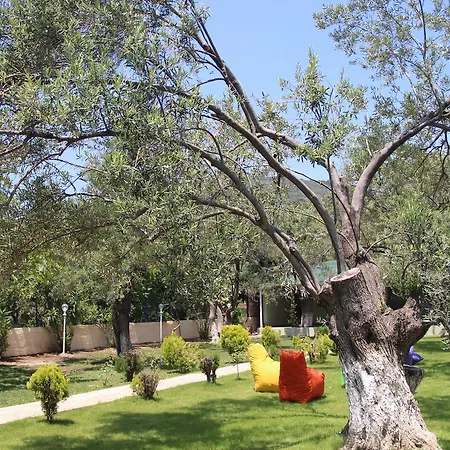 Kayalar Blue 4* Sazlı