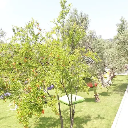Kayalar Blue Sazli