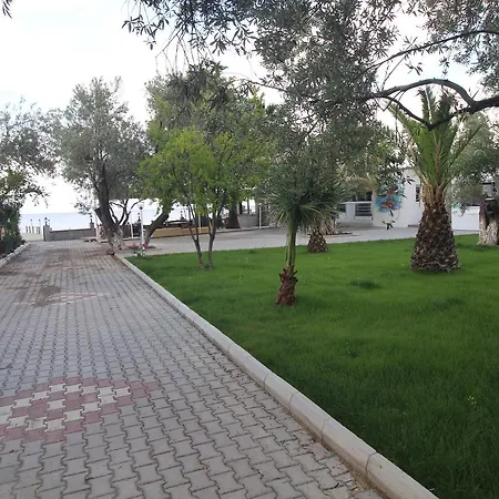 Kayalar Blue * Sazli