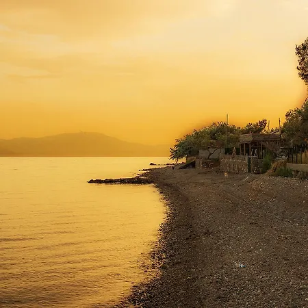 Hotel Kayalar Blue Sazli