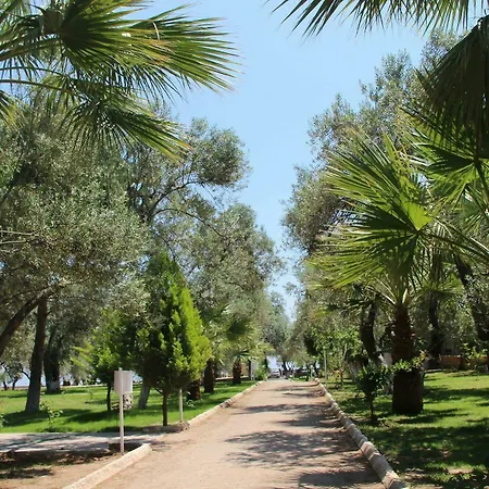 Kayalar Blue מלון *
